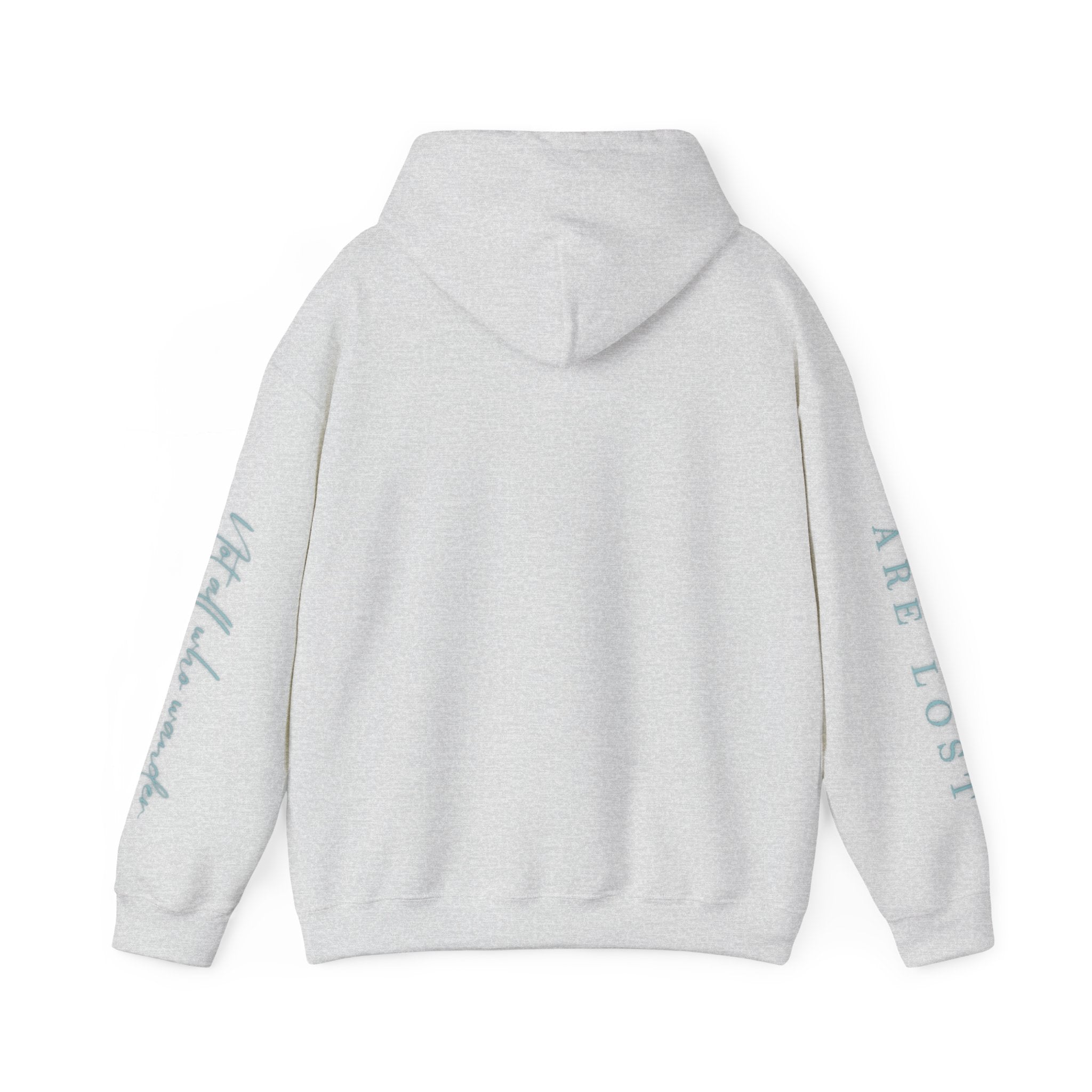If Not Now, We Are Lost - hoodie