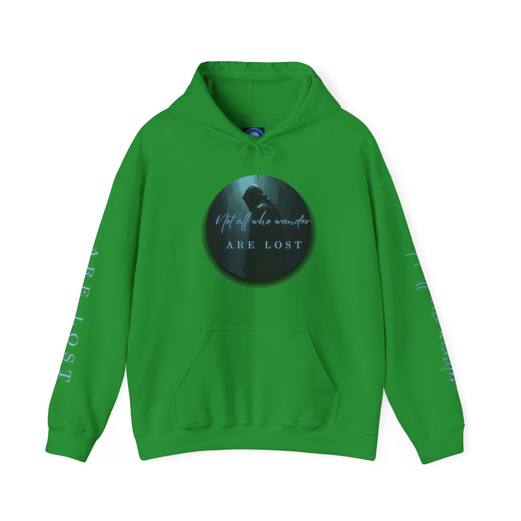 If Not Now, We Are Lost - hoodie
