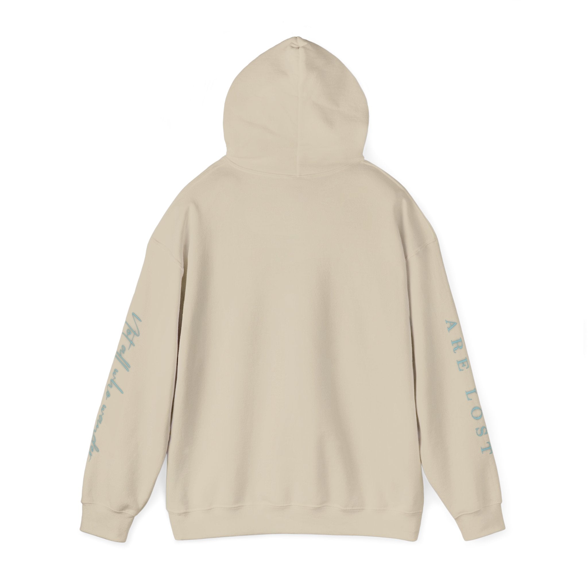 If Not Now, We Are Lost - hoodie