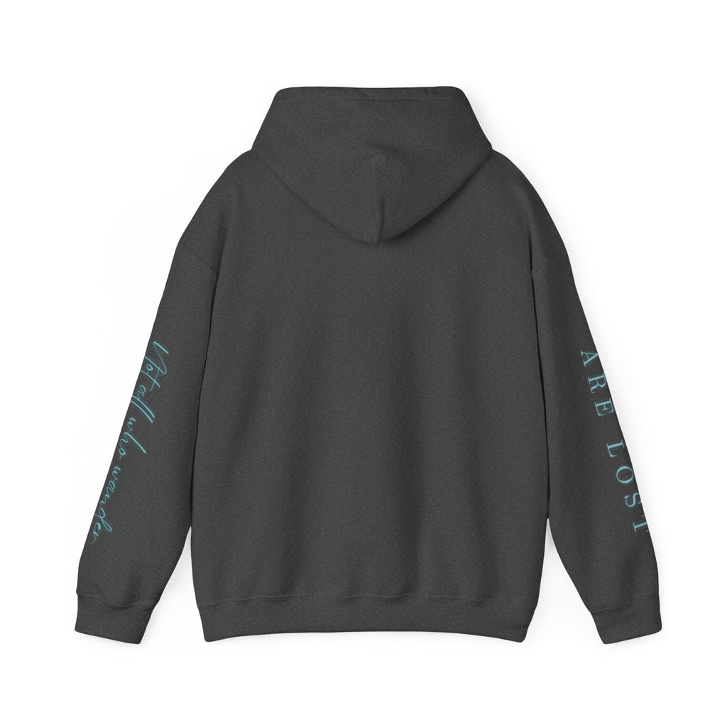 If Not Now, We Are Lost - hoodie