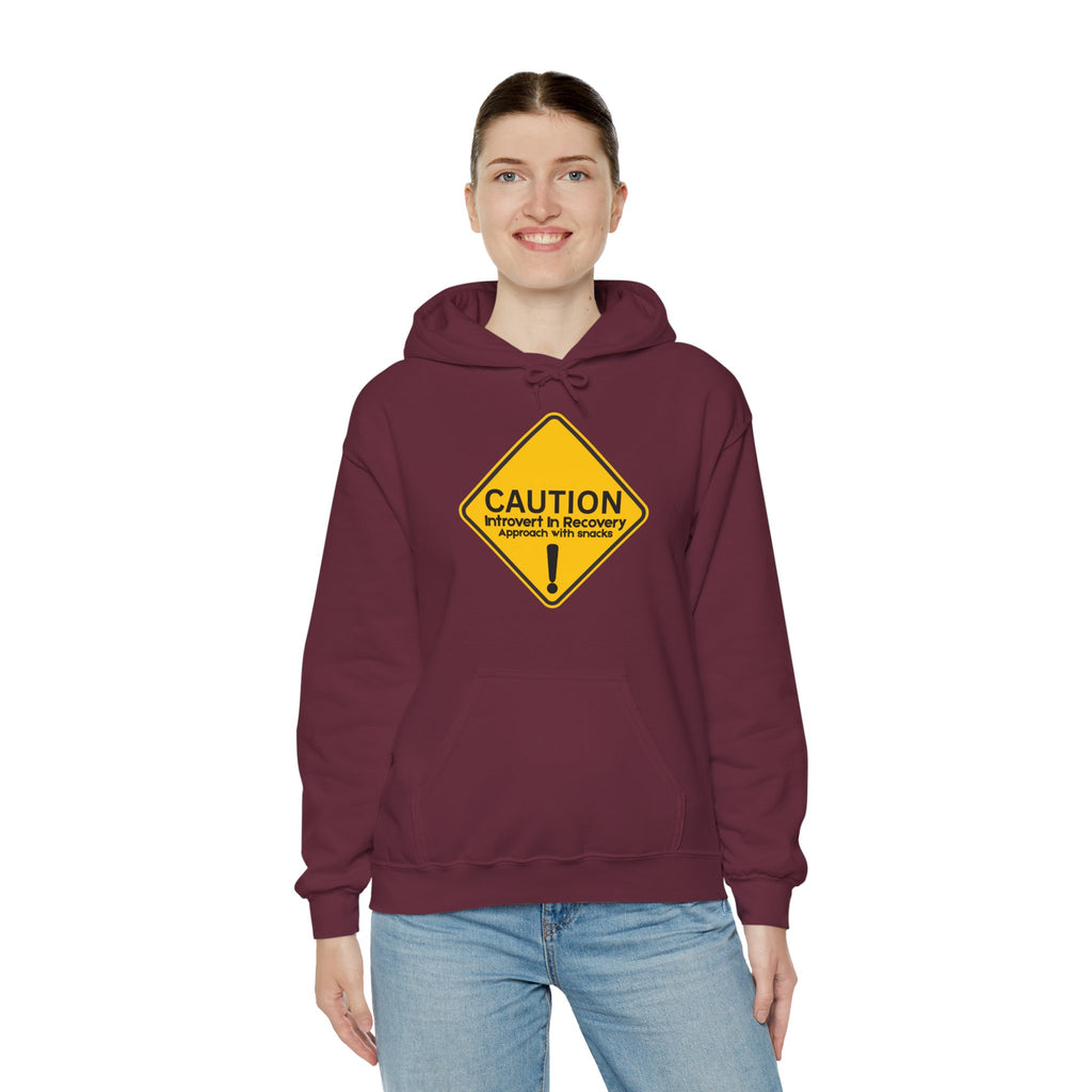 Caution: Introvert In Recovery — Approach With Snacks - hoodie