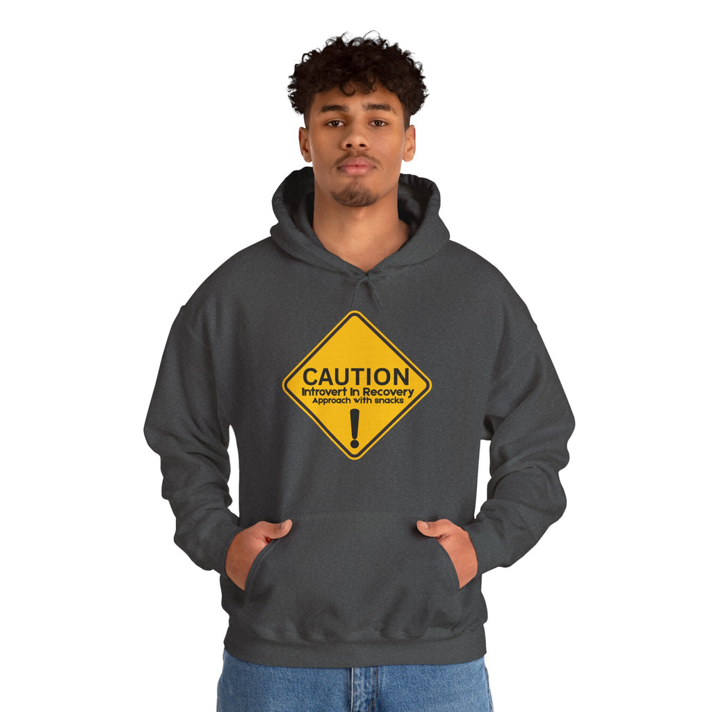 Caution: Introvert In Recovery — Approach With Snacks - hoodie
