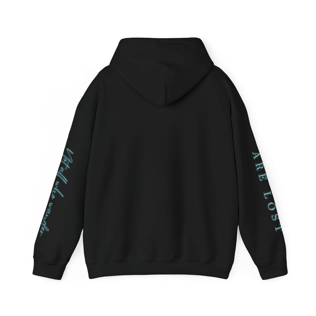 If Not Now, We Are Lost - hoodie