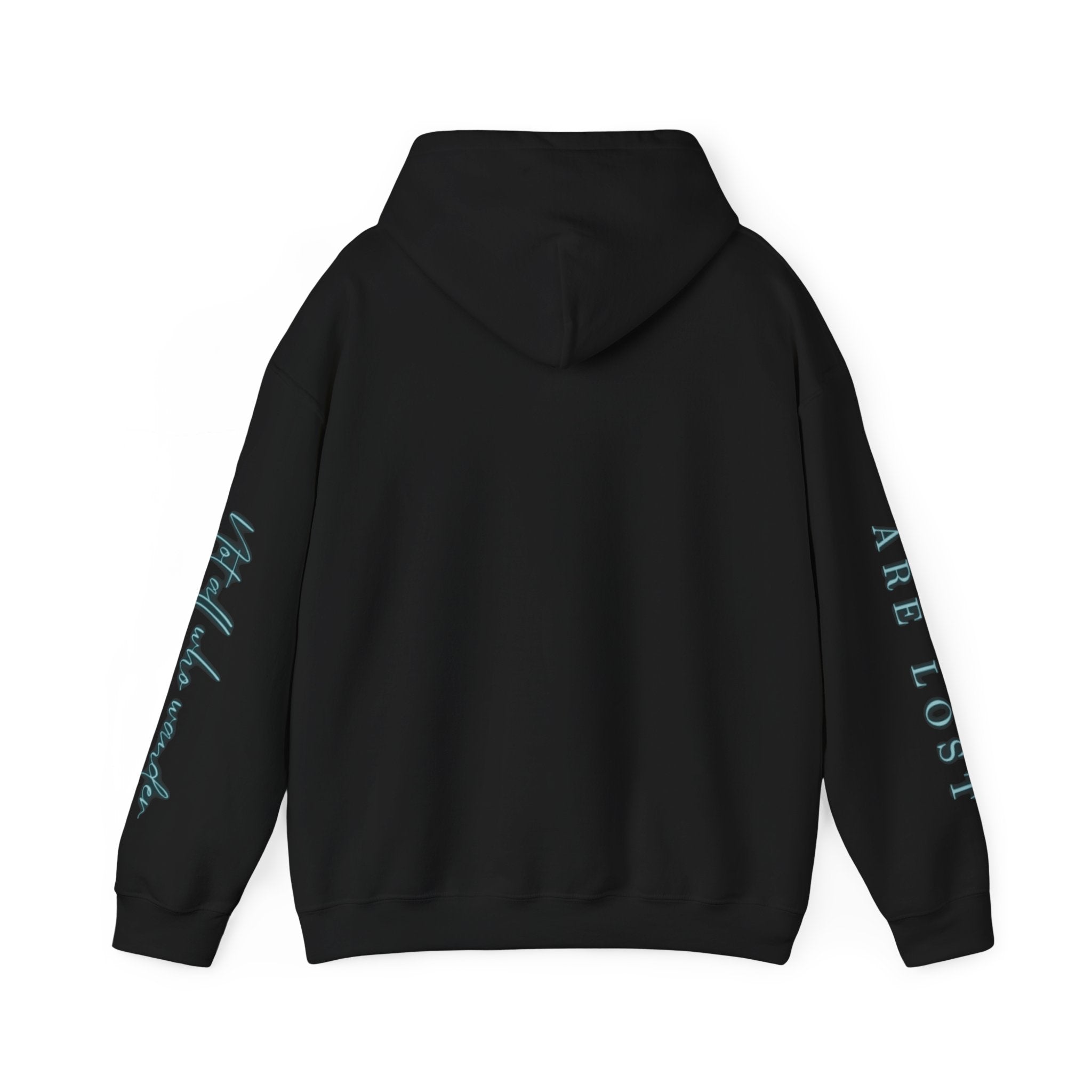 If Not Now, We Are Lost - hoodie