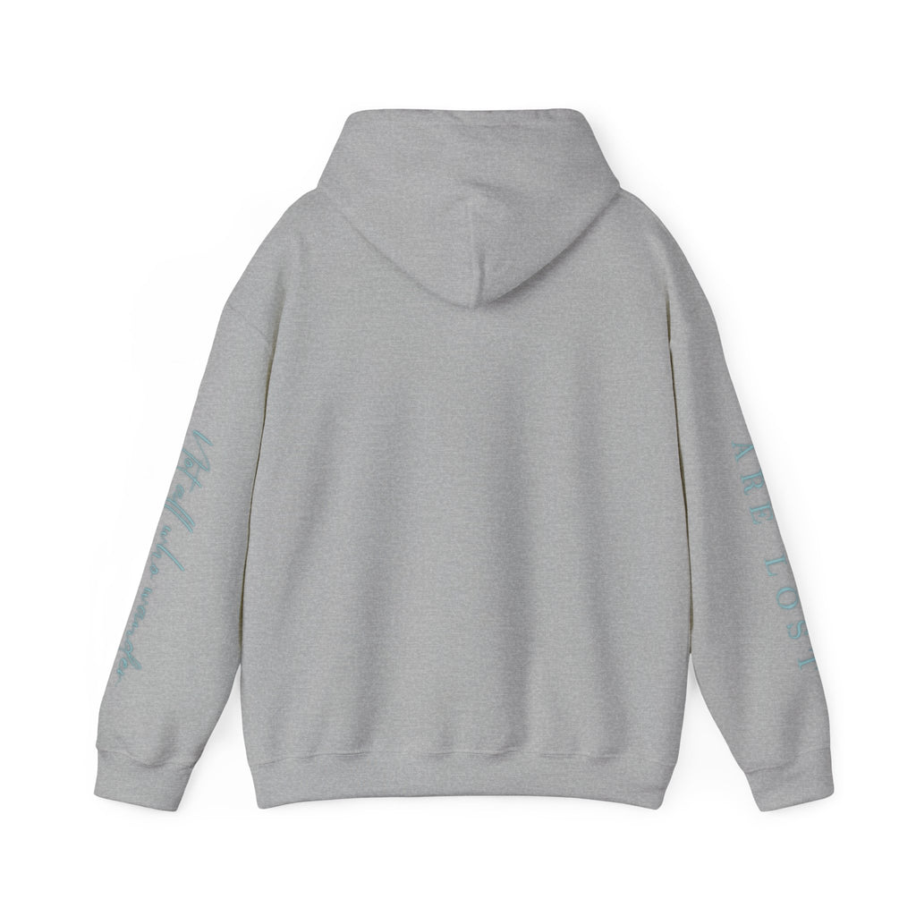If Not Now, We Are Lost - hoodie