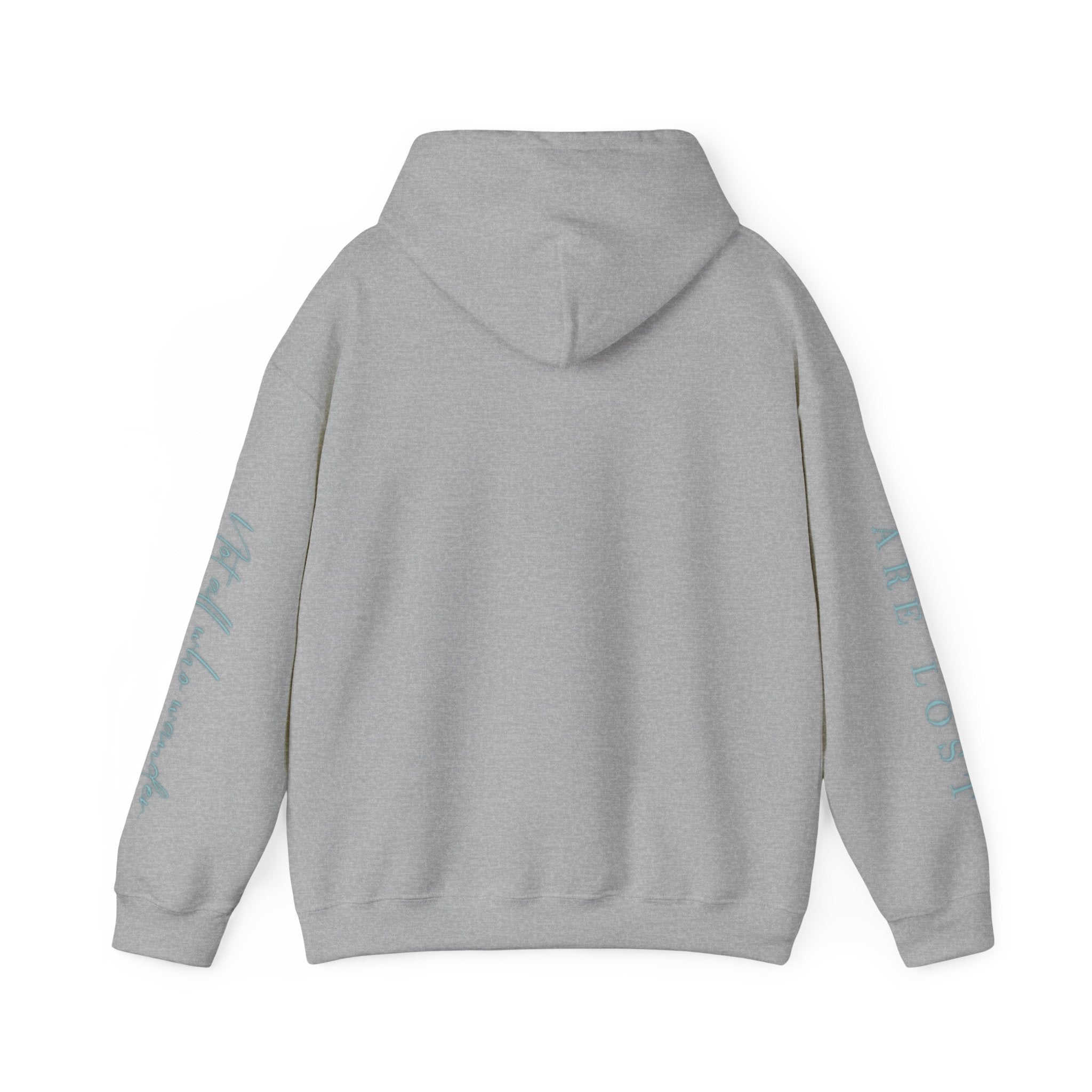 If Not Now, We Are Lost - hoodie