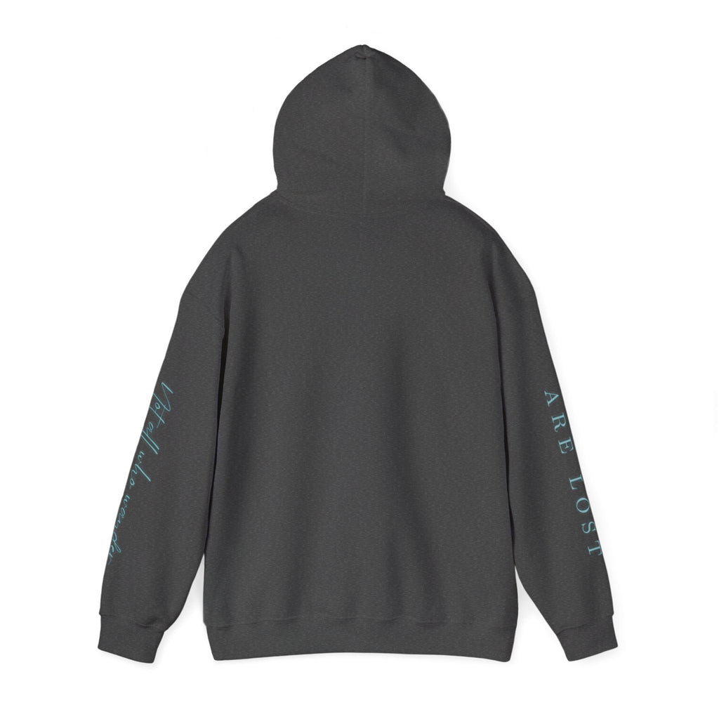 If Not Now, We Are Lost - hoodie