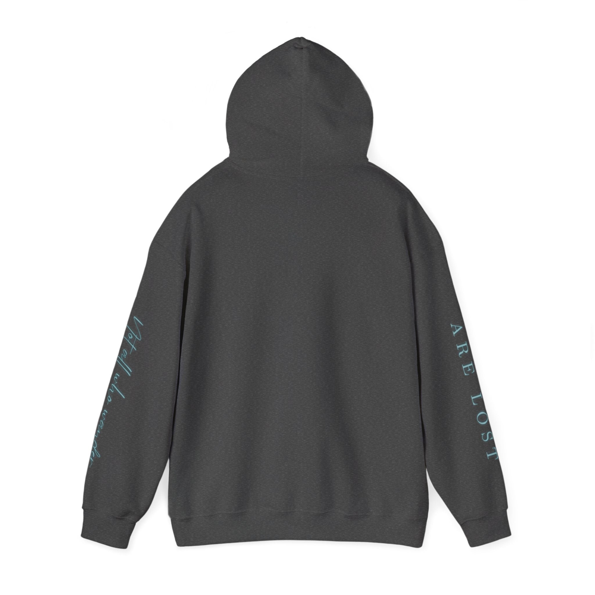 If Not Now, We Are Lost - hoodie