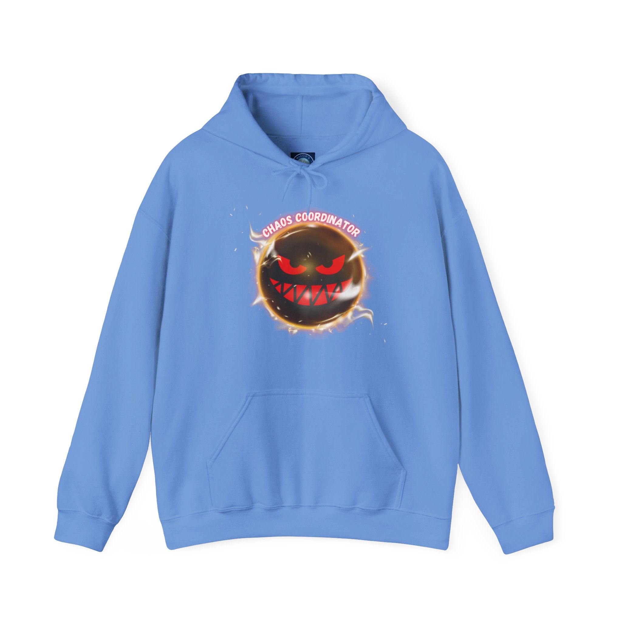 Chaos Coordinator - Hoodie