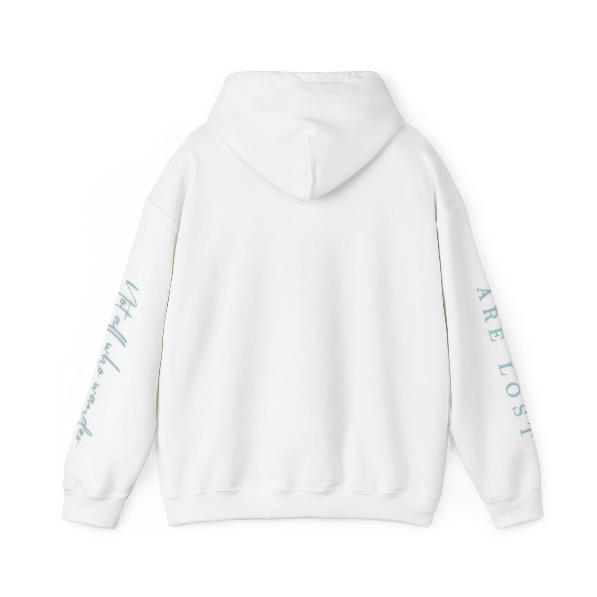 If Not Now, We Are Lost - hoodie