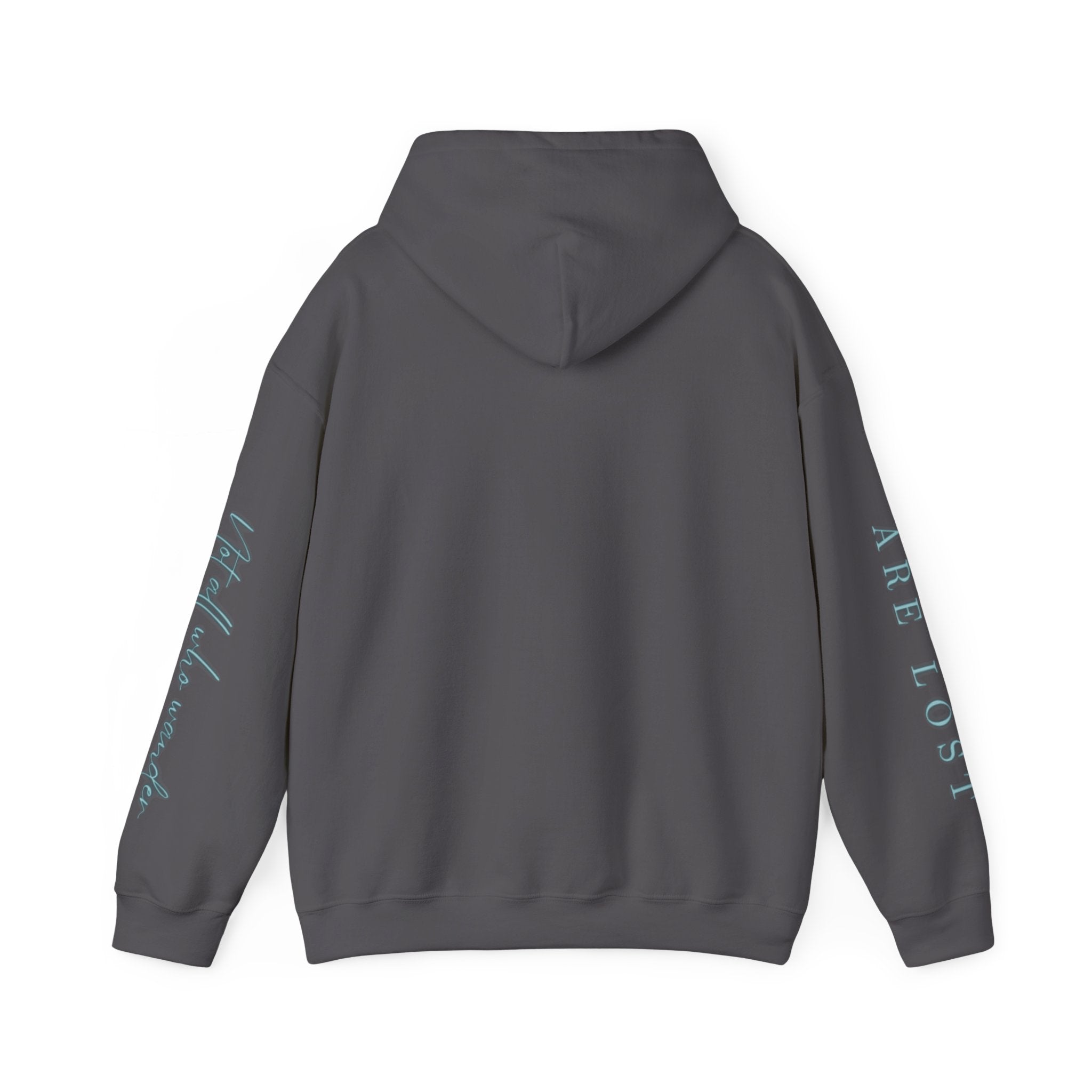 If Not Now, We Are Lost - hoodie