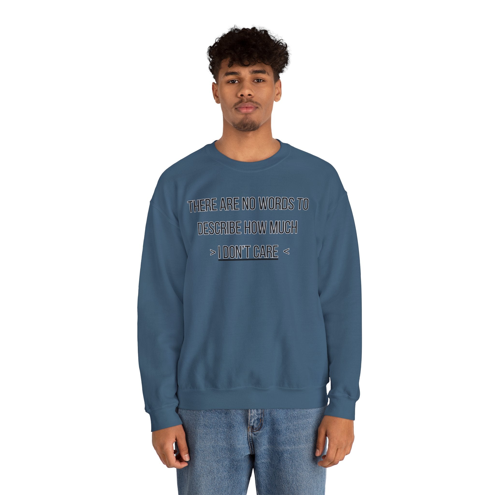 There Are No Words To Describe How Much > I Don’t Care < - Sweatshirt