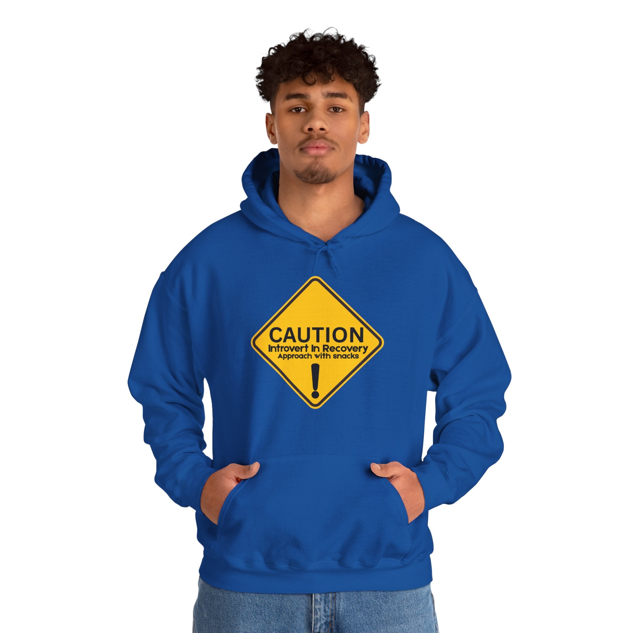 Caution: Introvert In Recovery — Approach With Snacks - hoodie