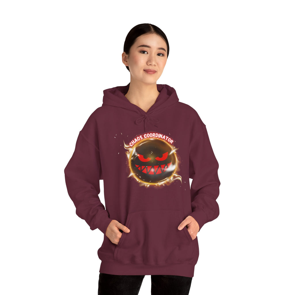 Chaos Coordinator - Hoodie