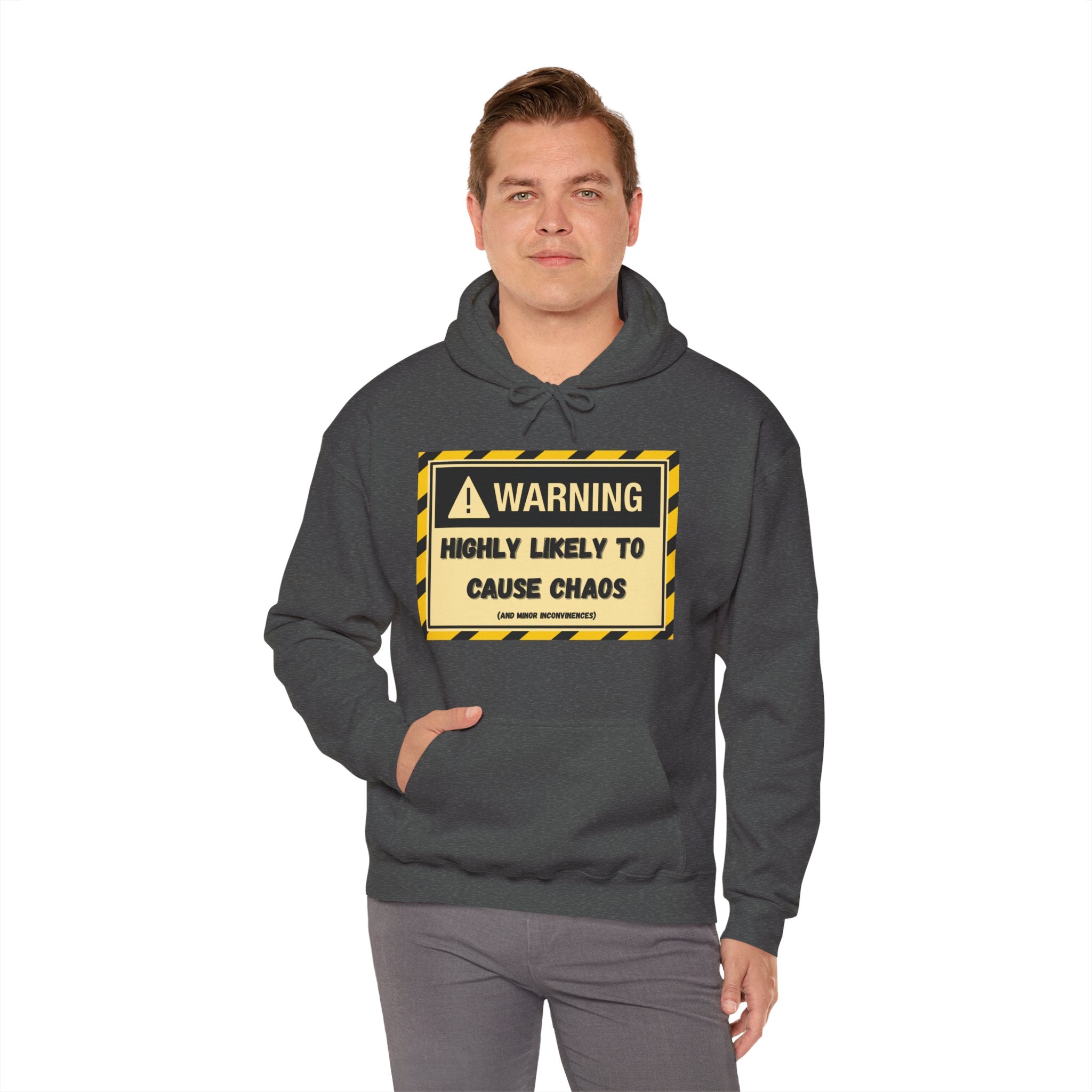 Warning: Highly Likely to Cause Chaos And Minor Inconveniences - Hoodie