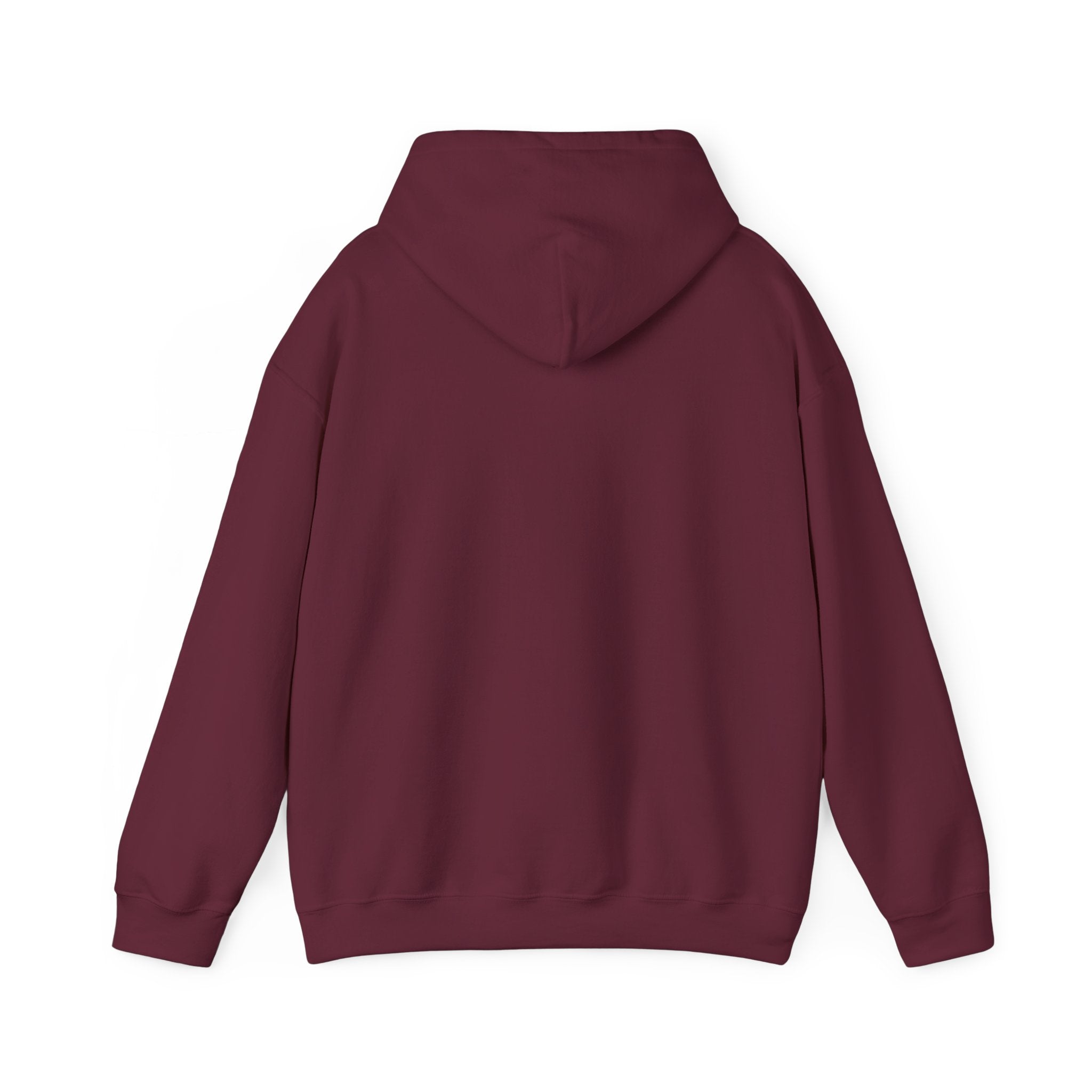 Running on: Caffeine and Chaos + Questionable Decisions - Hoodie