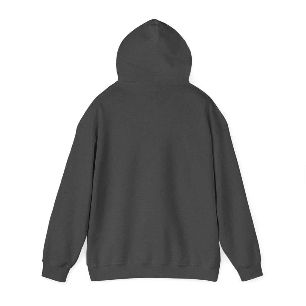Running on: Caffeine and Chaos + Questionable Decisions - Hoodie