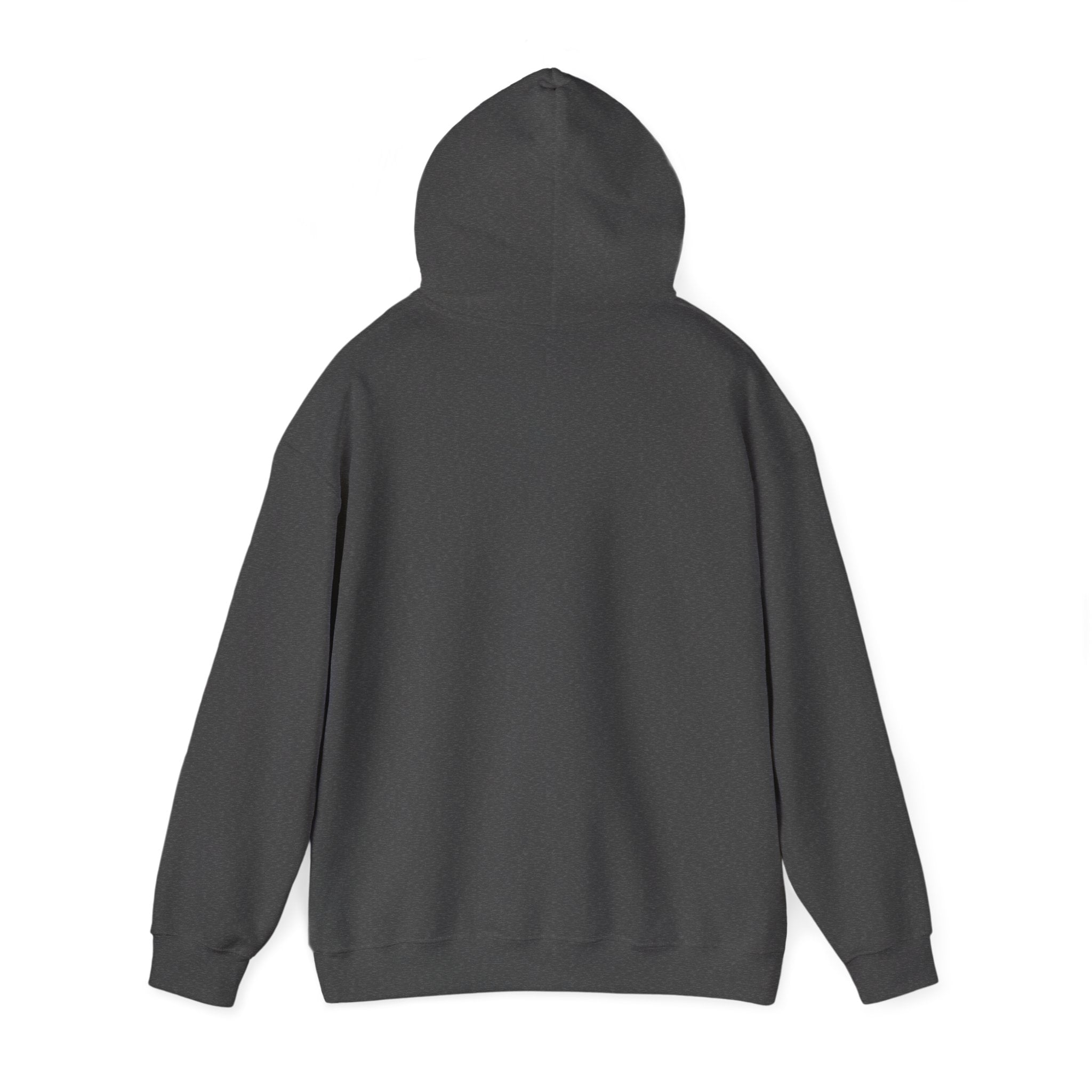 Running on: Caffeine and Chaos + Questionable Decisions - Hoodie