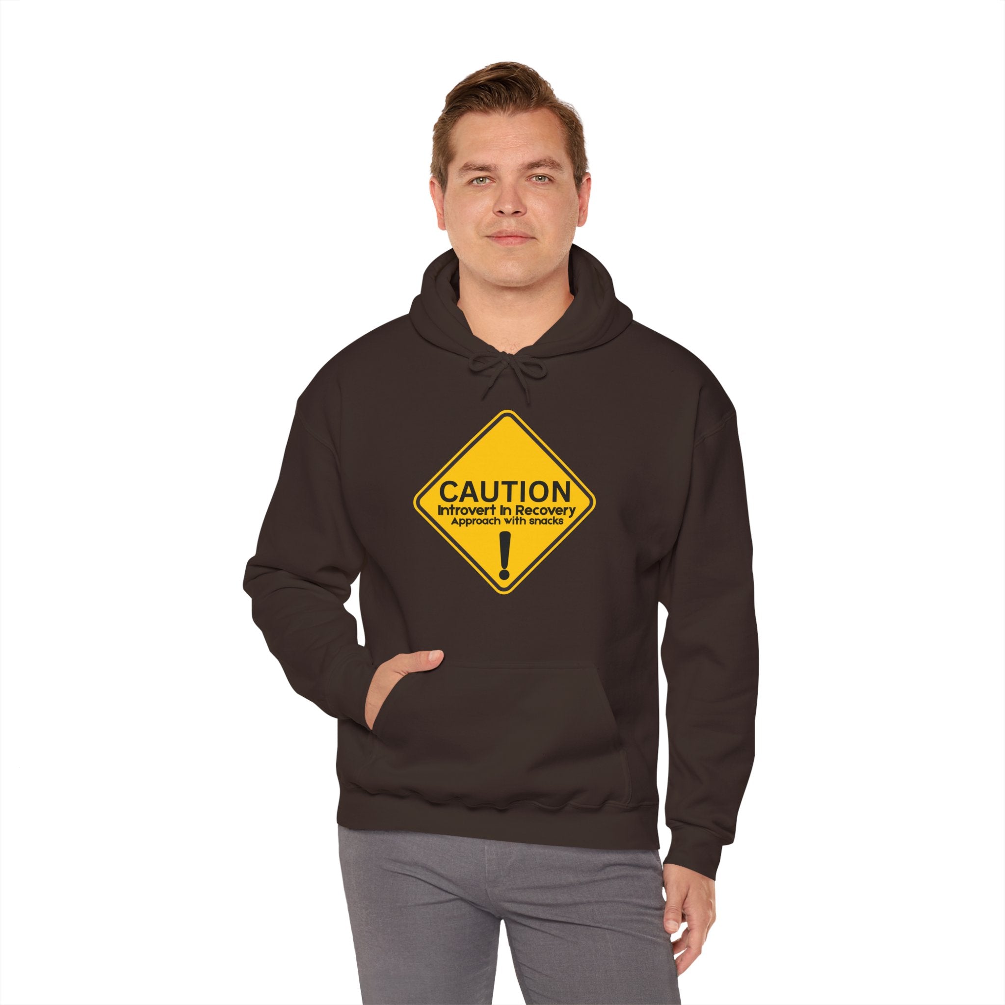 Caution: Introvert In Recovery — Approach With Snacks - hoodie