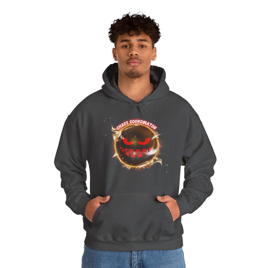 Chaos Coordinator - Hoodie