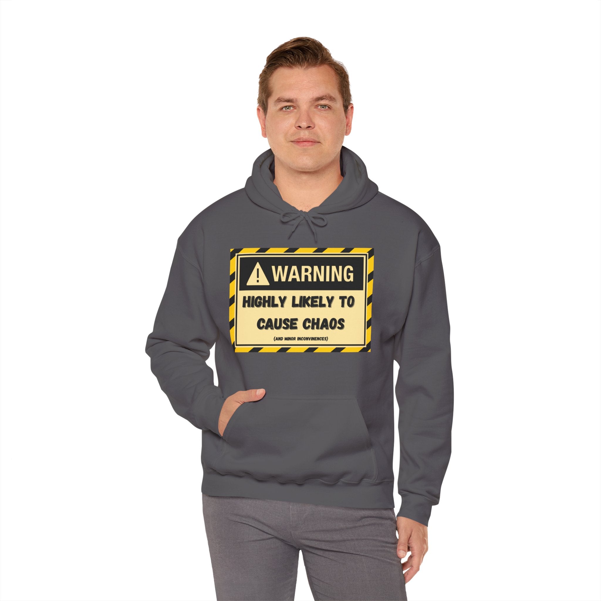 Warning: Highly Likely to Cause Chaos And Minor Inconveniences - Hoodie