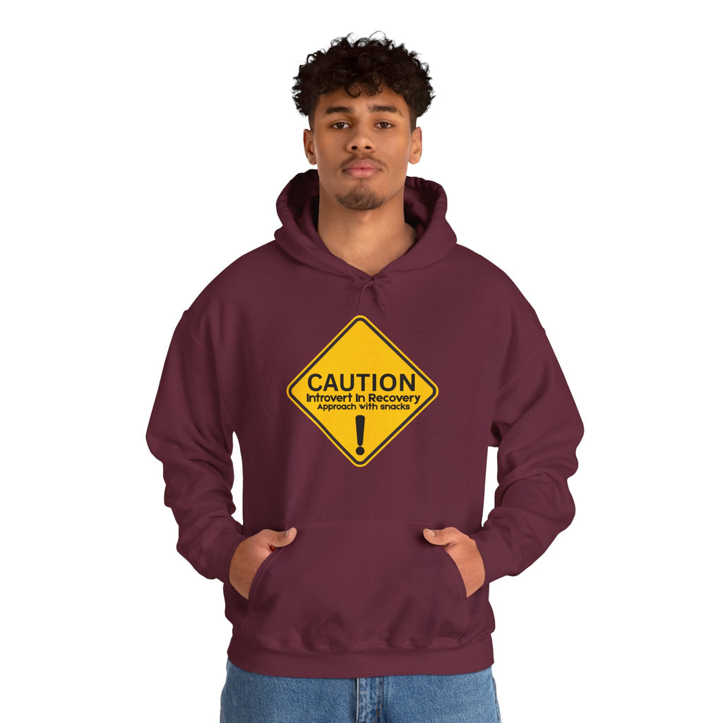 Caution: Introvert In Recovery — Approach With Snacks - hoodie
