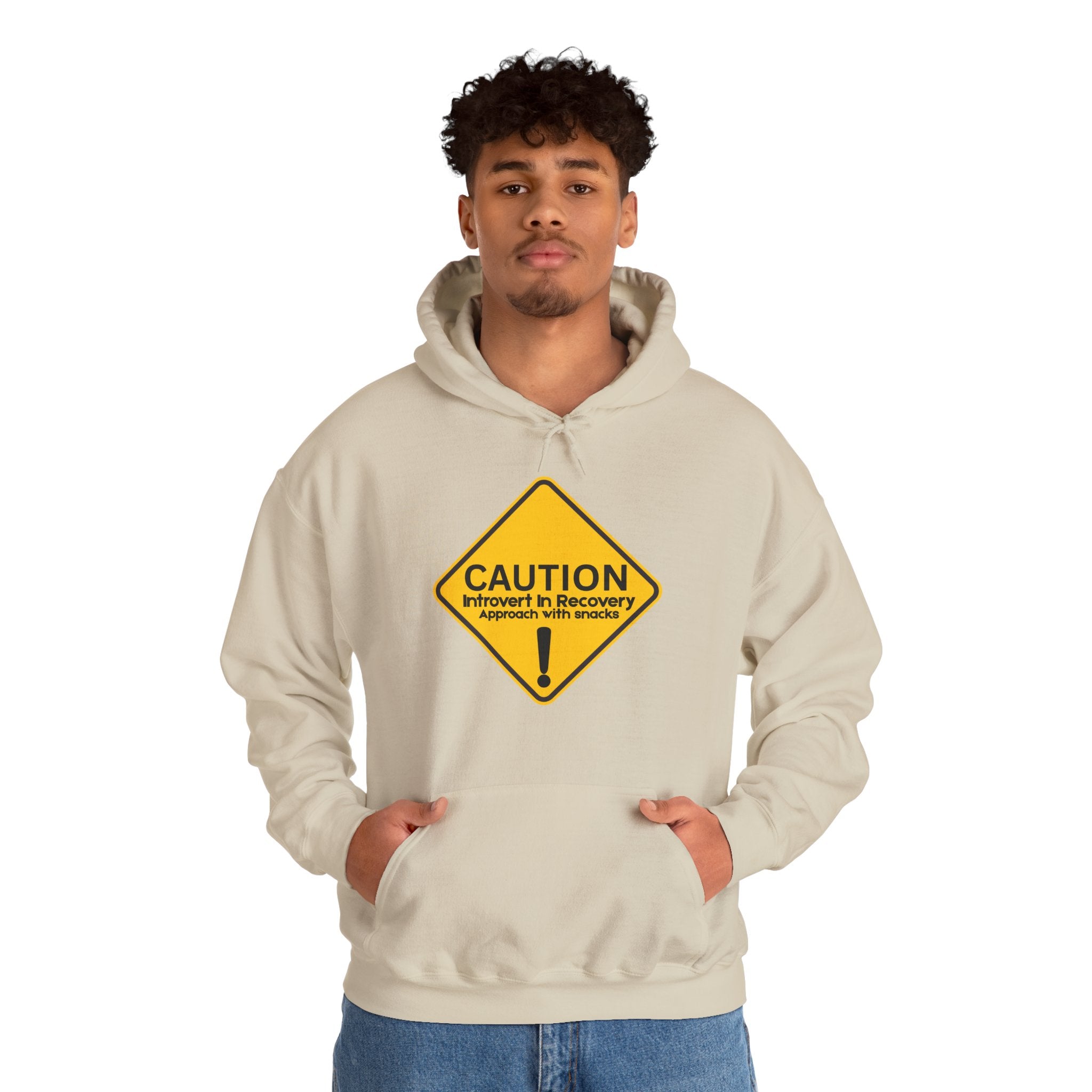 Caution: Introvert In Recovery — Approach With Snacks - hoodie