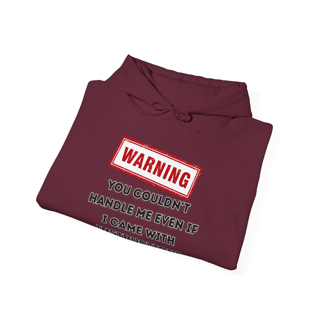 Warning — You Couldn’t Handle Me Even If I Came With Instructions. - hoodie