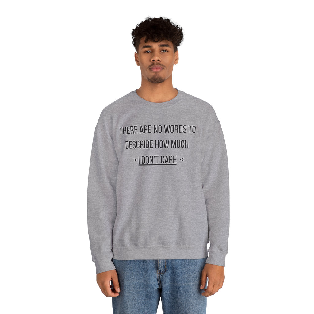 There Are No Words To Describe How Much > I Don’t Care < - Sweatshirt