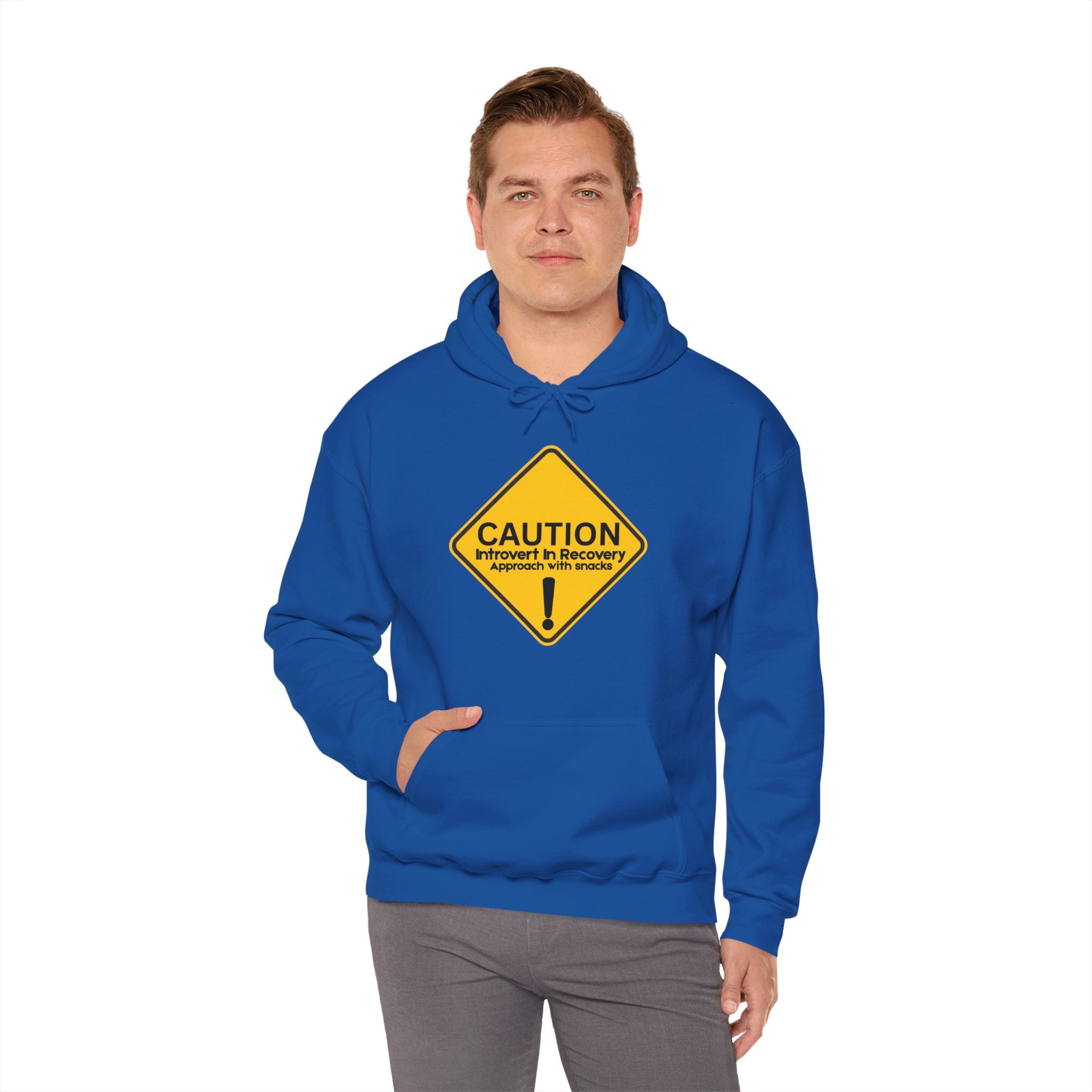 Caution: Introvert In Recovery — Approach With Snacks - hoodie