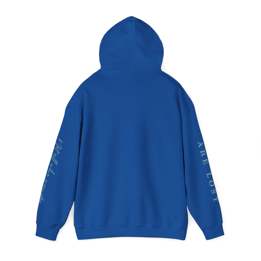 If Not Now, We Are Lost - hoodie