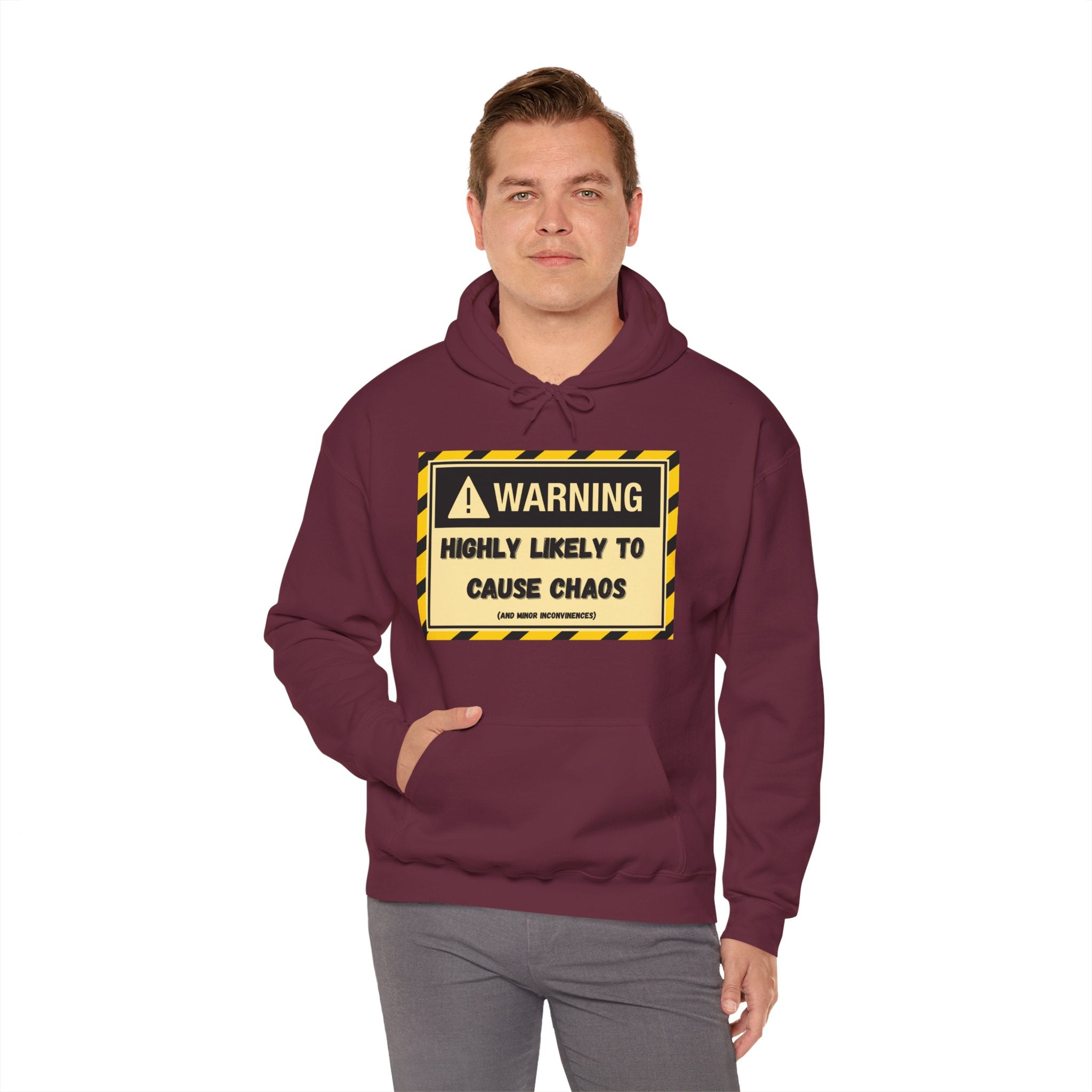 Warning: Highly Likely to Cause Chaos And Minor Inconveniences - Hoodie