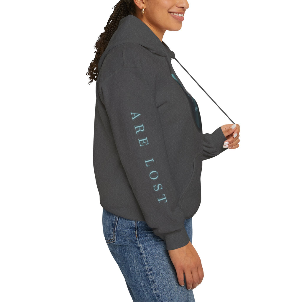 If Not Now, We Are Lost - hoodie