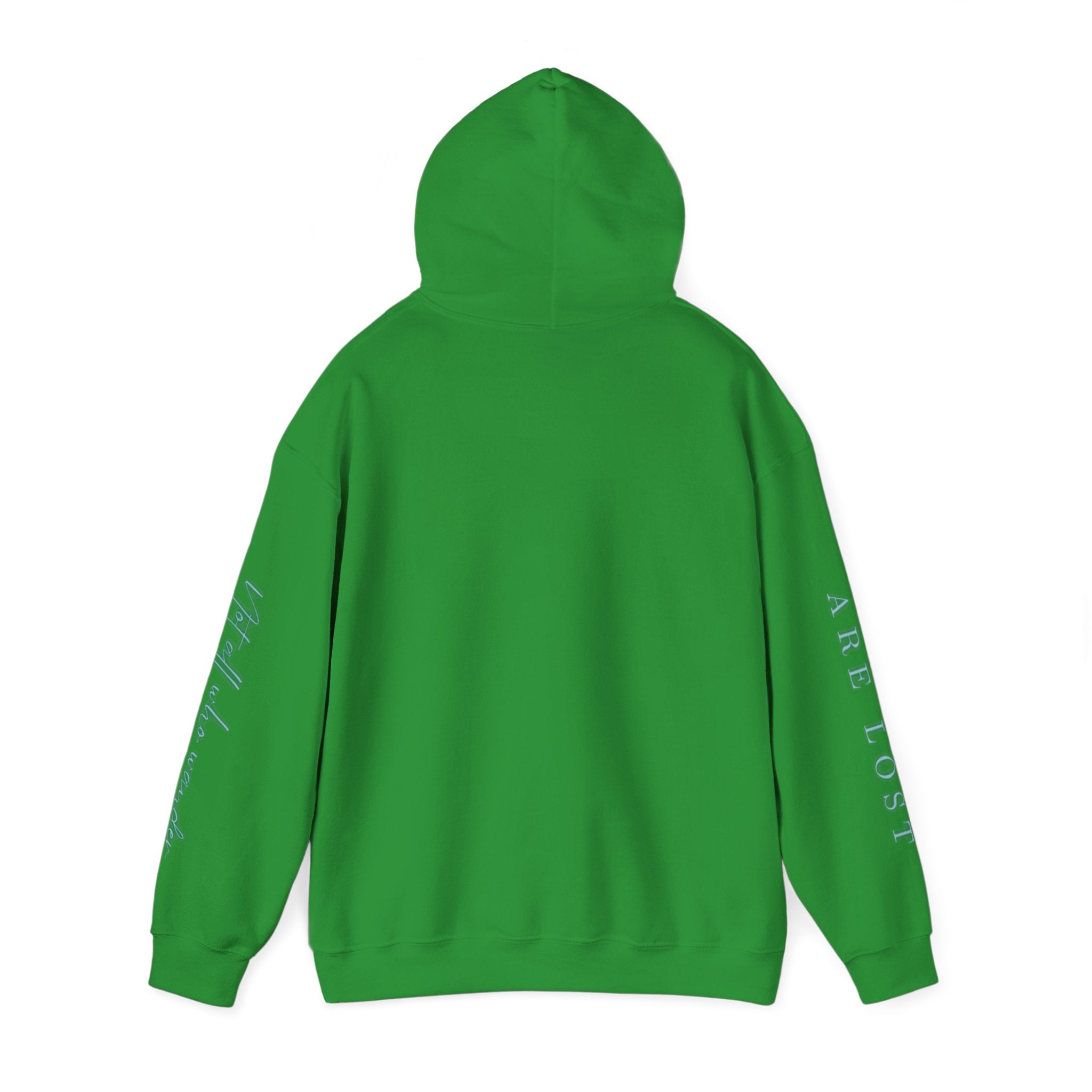 If Not Now, We Are Lost - hoodie