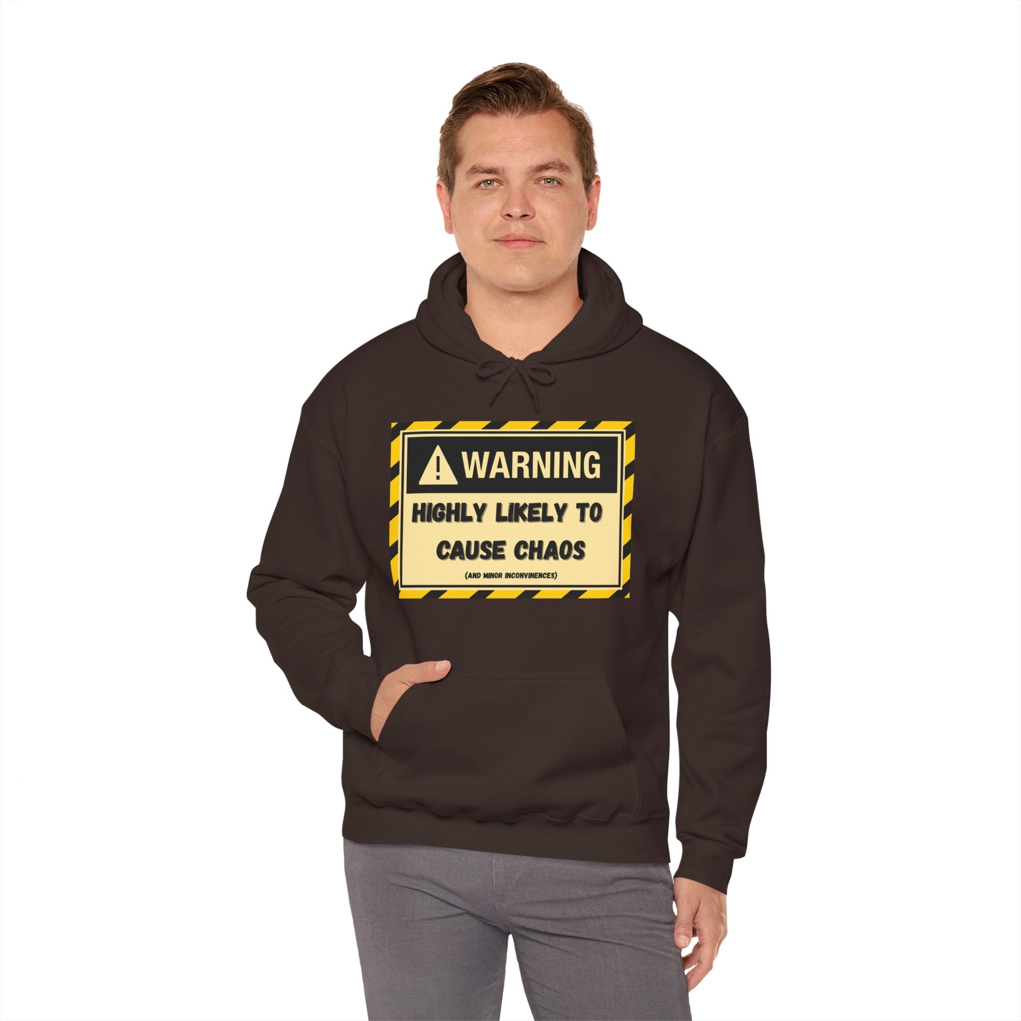 Warning: Highly Likely to Cause Chaos And Minor Inconveniences - Hoodie