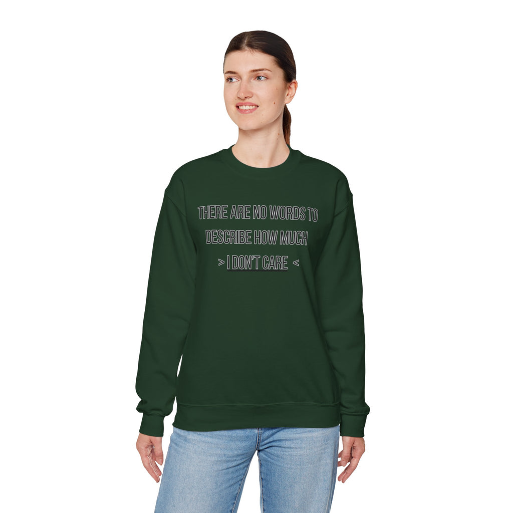There Are No Words To Describe How Much > I Don’t Care < - Sweatshirt