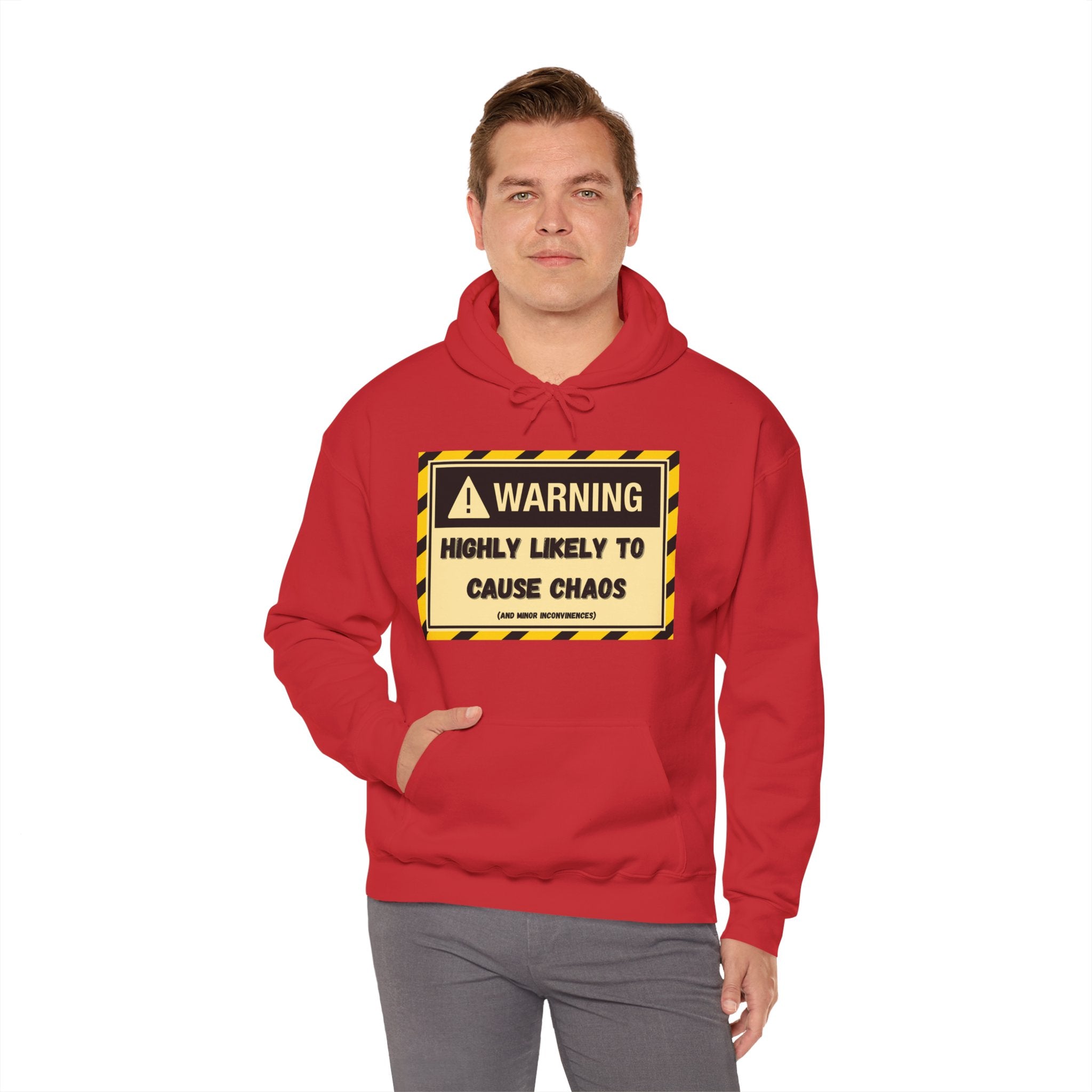 Warning: Highly Likely to Cause Chaos And Minor Inconveniences - Hoodie