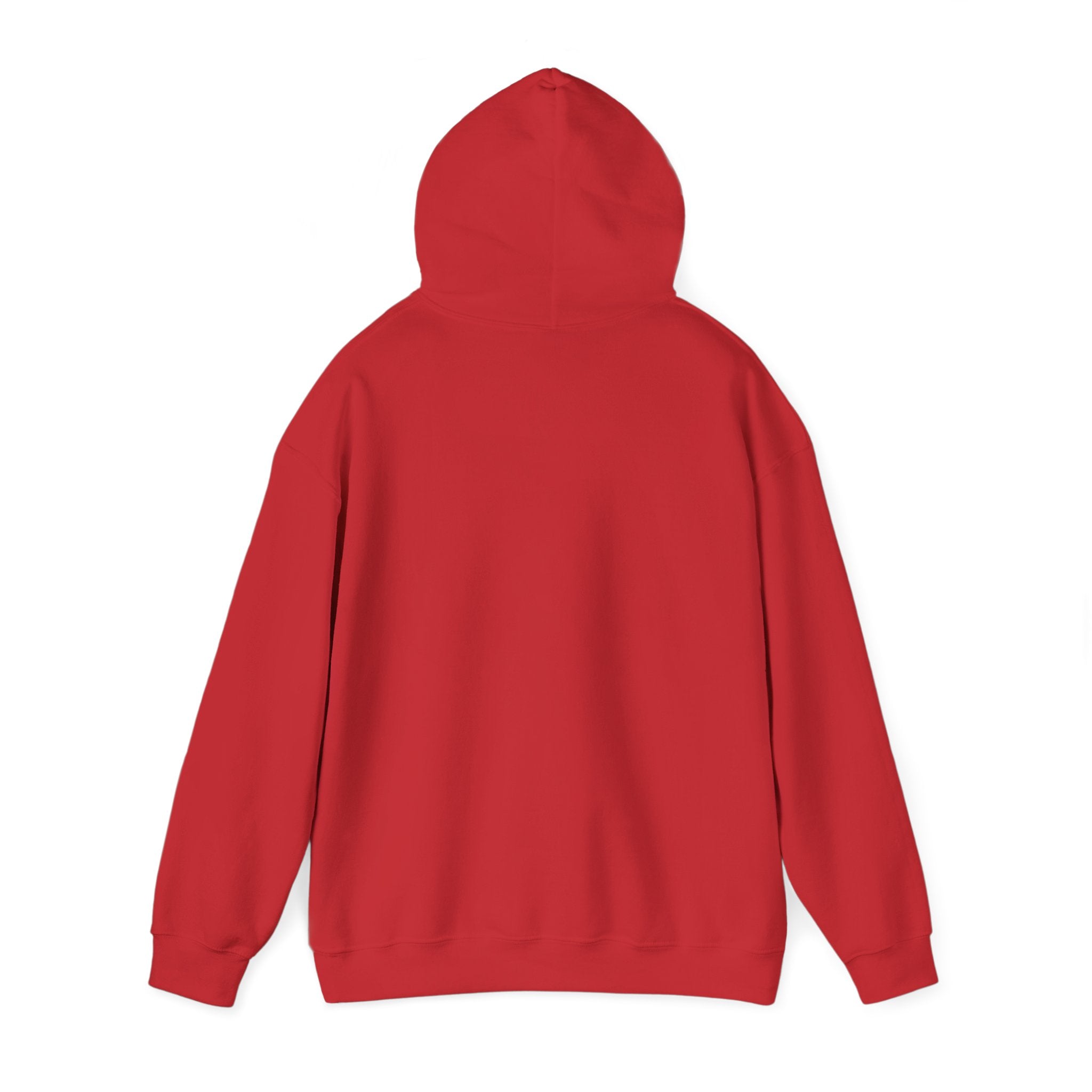 Running on: Caffeine and Chaos + Questionable Decisions - Hoodie