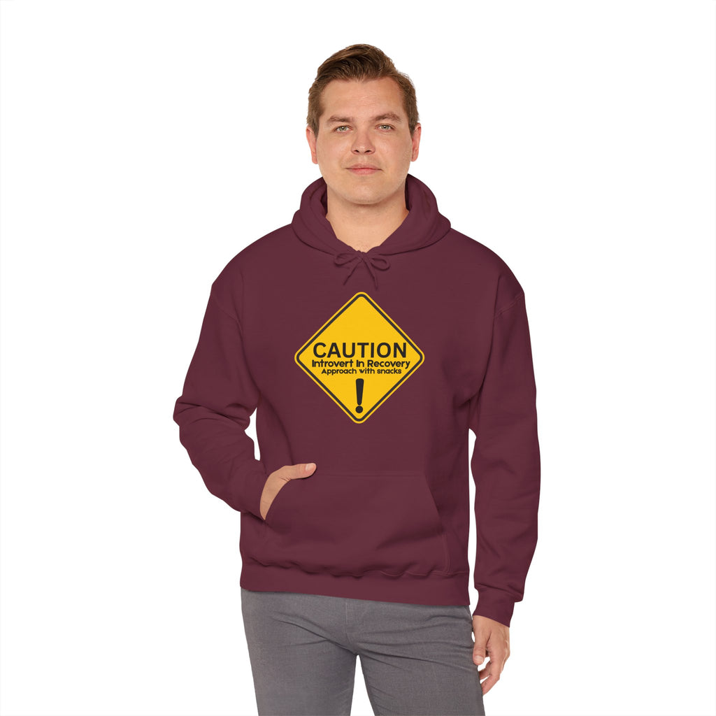 Caution: Introvert In Recovery — Approach With Snacks - hoodie